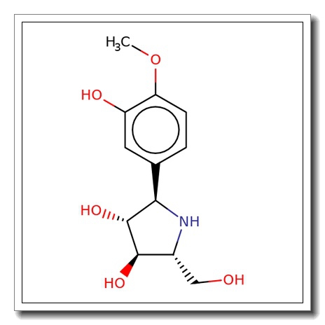 (2R,3R,4R,5R)-2-(3-hydroxy-4-methoxyphenyl)-5-(hydroxymethyl)pyrrolidine-3,4-diol