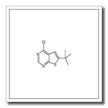 6-Tert-Butyl-4-Chlorothieno[2,3-D]Pyrimidine CAS 439692-55-4