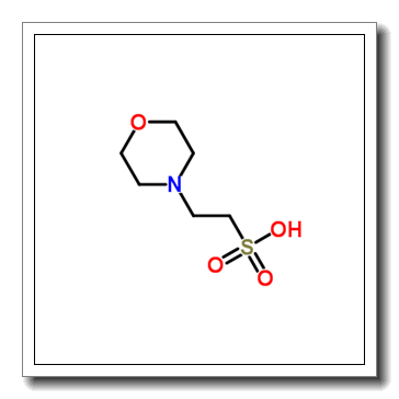 2-吗啉乙磺酸