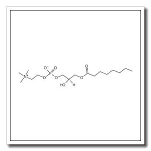 1-octanoyl-sn-glycero-3-phosphocholine