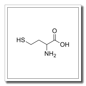 DL-Homocysteine CAS 454-29-5
