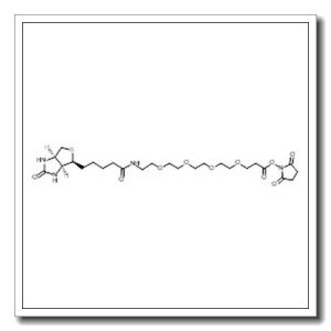 N-{15-[(2,5-Dioxo-1-pyrrolidinyl)oxy]-15-oxo-3,6,9,12-tetraoxapentadec-1-yl}-5-[(3aS,4S,6aR)-2-oxohexahydro-1H-thieno[3,4-d]imidazol-4-yl]pentanamide