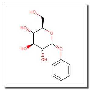 Phenyl a-D-glucopyranoside
