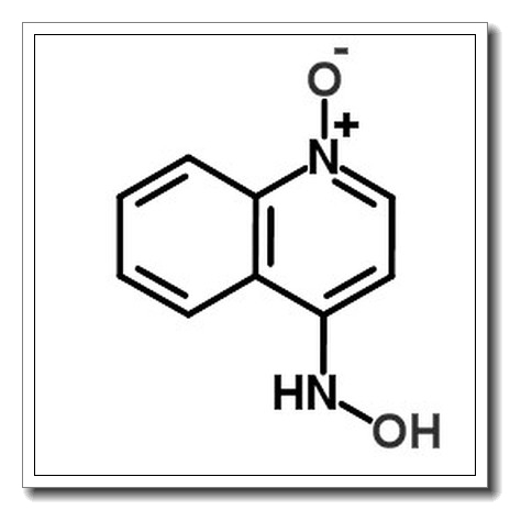 4-羟基氨基喹啉 N-氧化物