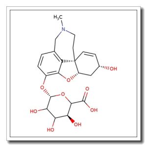O-Desmethyl galanthamine b-D-glucuronide