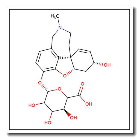 O-Desmethyl galanthamine b-D-glucuronide