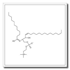 [(E,2S,3R)-2-(dodecanoylamino)-3-hydroxyoctadec-4-enyl] 2-(trimethylazaniumyl)ethyl phosphate