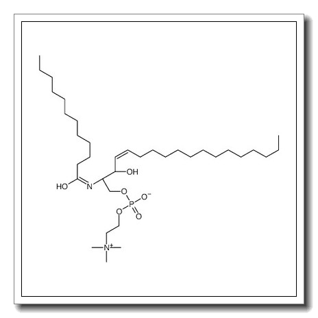 [(E,2S,3R)-2-(dodecanoylamino)-3-hydroxyoctadec-4-enyl] 2-(trimethylazaniumyl)ethyl phosphate