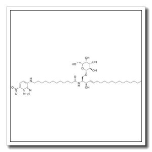 N-[(2S,3R,4E)-1-(β-D-Galactopyranosyloxy)-3-hydroxy-4-octadecen-2-yl]-12-[(7-nitro-2,1,3-benzoxadiazol-4-yl)amino]dodecanamide