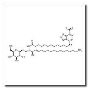N-[(2S,3R,4E)-1-(β-D-Glucopyranosyloxy)-3-hydroxy-4-octadecen-2-yl]-12-[(7-nitro-2,1,3-benzoxadiazol-4-yl)amino]dodecanamide