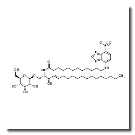 N-[(2S,3R,4E)-1-(β-D-Glucopyranosyloxy)-3-hydroxy-4-octadecen-2-yl]-12-[(7-nitro-2,1,3-benzoxadiazol-4-yl)amino]dodecanamide CAS 474943-01-6 