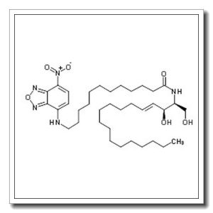 N-[(2S,3S,4E)-1,3-Dihydroxy-4-octadecen-2-yl]-12-[(7-nitro-2,1,3-benzoxadiazol-4-yl)amino]dodecanamide