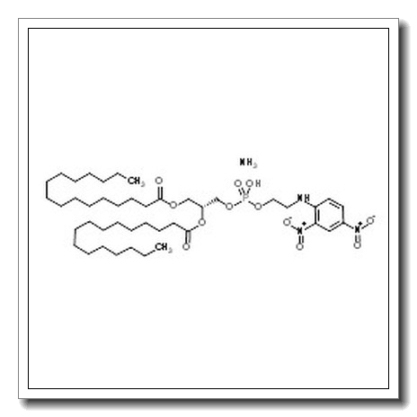 (2R)-3-{[{2-[(2,4-Dinitrophenyl)amino]ethoxy}(hydroxy)phosphoryl]oxy}-2-(palmitoyloxy)propyl hexadecanoate ammoniate (1:1) CAS 474943-09-4 