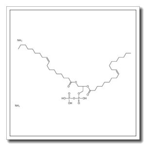 diazanium,[[(2R)-2,3-bis[[(Z)-octadec-9-enoyl]oxy]propoxy]-oxidophosphoryl] hydrogen phosphate