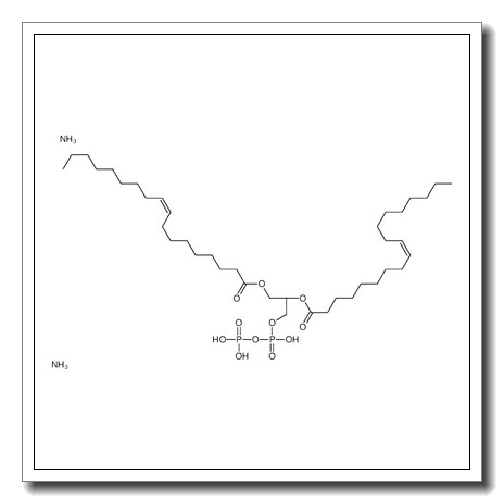 diazanium,[[(2R)-2,3-bis[[(Z)-octadec-9-enoyl]oxy]propoxy]-oxidophosphoryl] hydrogen phosphate