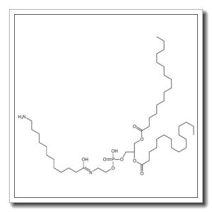 2-(12-azaniumyldodecanoylamino)ethyl [(2R)-2,3-di(hexadecanoyloxy)propyl] phosphate