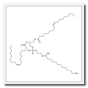 2-(12-azaniumyldodecanoylamino)ethyl [(2R)-2,3-bis[[(Z)-octadec-9-enoyl]oxy]propyl] phosphate