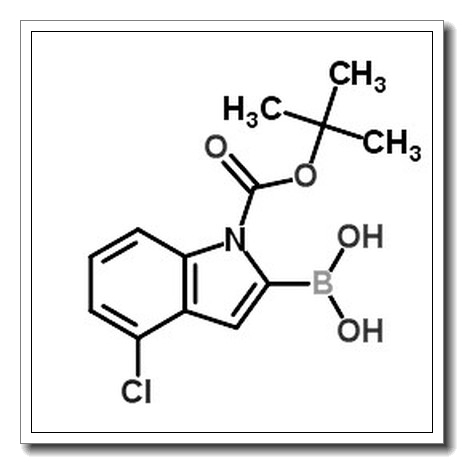 1-BOC-4-氯吲哚-2-硼酸