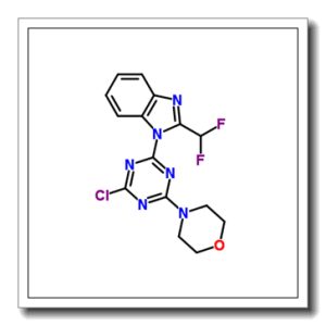 4-(4-氯-6-(2-(二氟甲基)-1H-苯并[d]咪唑-1-基)-1,3,5-三嗪-2-基)吗啉