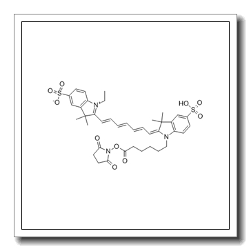 Cy7 NHS ester CAS 477908-53-5
