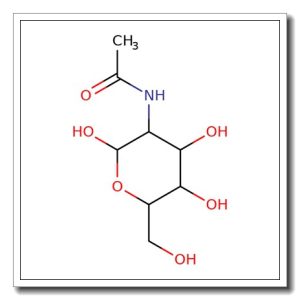 N-Acetyl-D-[UL-13C6,15N]glucosamine