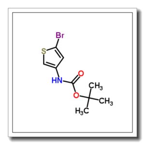 2-溴-4-(N-叔丁氧羰基胺基)噻吩