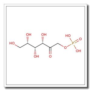 L-Sorbose-1-phosphate disodium
