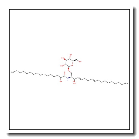 Glycosylceramide – from plant origin