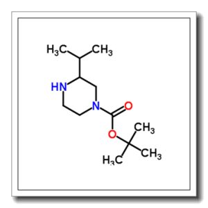 1-叔丁氧羰基-3-异丙基哌嗪