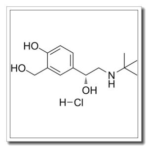 盐酸左旋沙丁胺醇