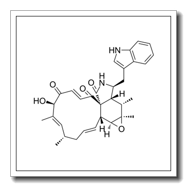 毛壳球菌素
