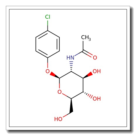 4-Chlorophenyl 2-acetamido-2-deoxy-b-D-glucopyranoside