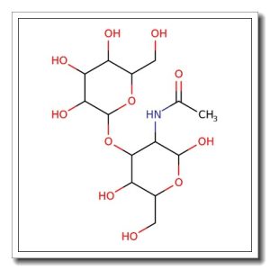 Lacto-N-biose