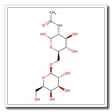 N-Acetylallolactosamine