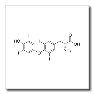 D-thyroxine CAS 51-49-0