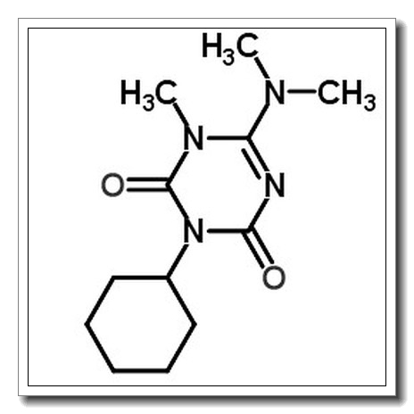 环嗪酮