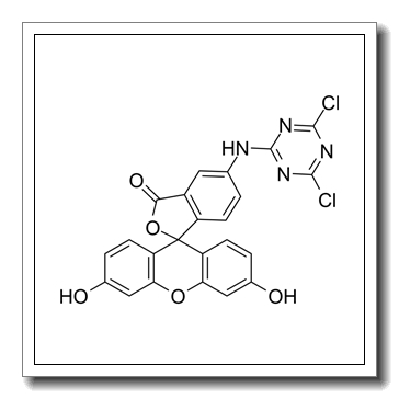 5-(4,6-Dichlorotriazinyl)aminofluorescein,5-DTAF CAS 51306-35-5