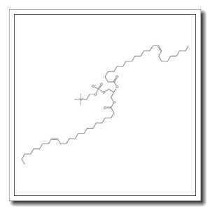 [(2R)-2,3-bis[[(Z)-tetracos-15-enoyl]oxy]propyl] 2-(trimethylazaniumyl)ethyl phosphate