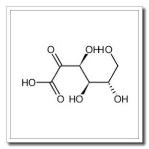 2-酮-L-古洛糖酸