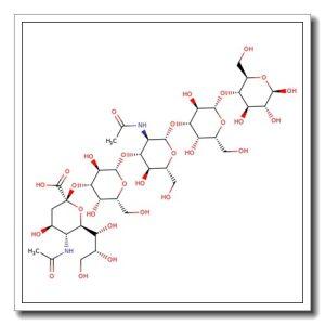 GM1-Pentasaccharide