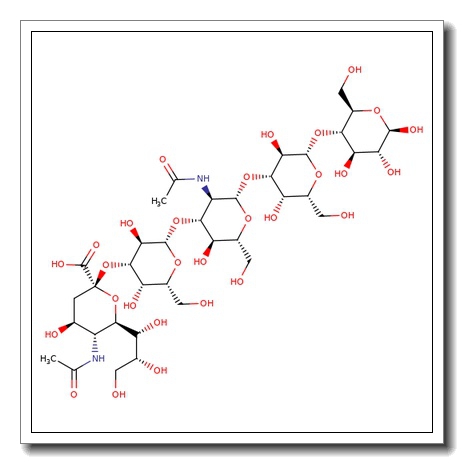 GM1-Pentasaccharide