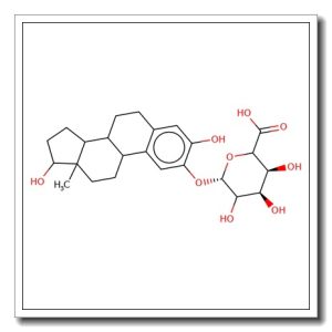 2-Hydroxyestradiol-2-O-b-D-glucuronide