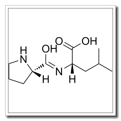 脯氨酰-亮氨酸