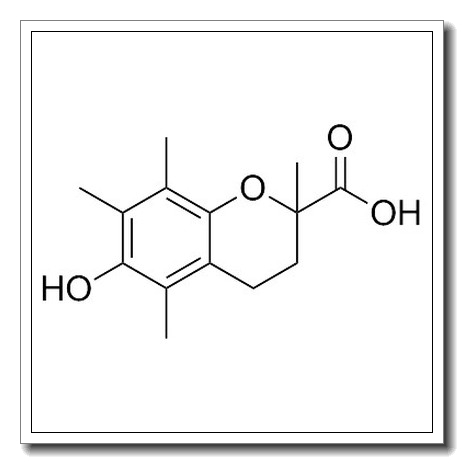 奎诺二甲基丙烯酸酯