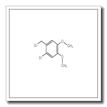 1-bromo-2-(bromomethyl)-4,5-dimethoxybenzene CAS 53207-00-4