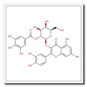 Quercetin 3-b-galactoside-2′-O-gallate