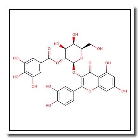 Quercetin 3-b-galactoside-2′-O-gallate