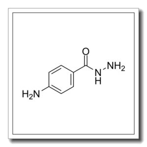 4-氨基苯甲酰肼