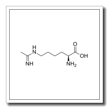 N-(5-氨基-5-羧基戊)-乙脒