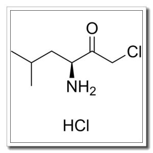 L-亮氨酸氯甲基酮盐酸盐